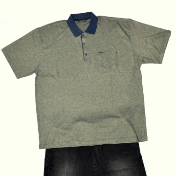 MEN'S POLO SHIRT TRENDFIELD