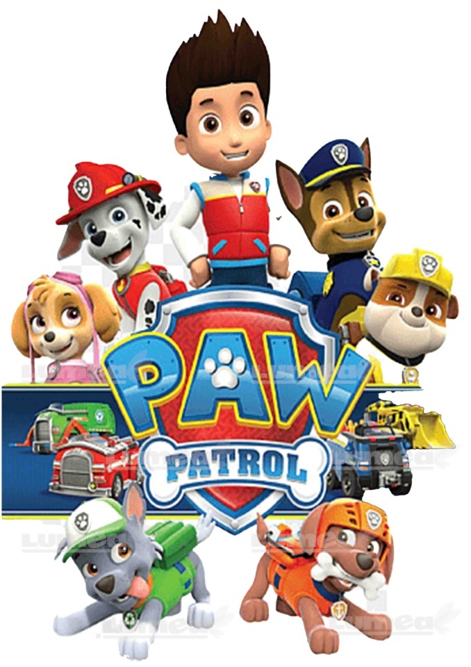 Imagine comestibila tort din Zahar Paw Patrol echipa - Lumea