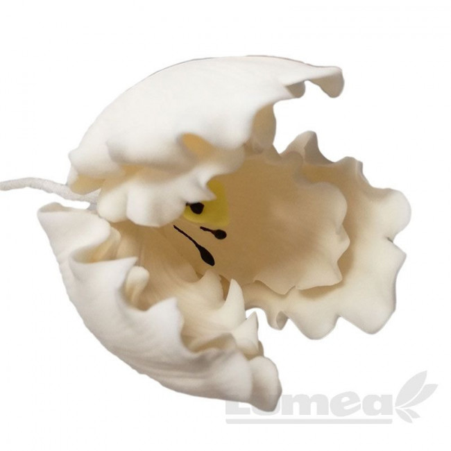 Lalea papagal crem din pasta de zahar, L5 cm x l 5 cm x h6 cm, 30g - Lumea