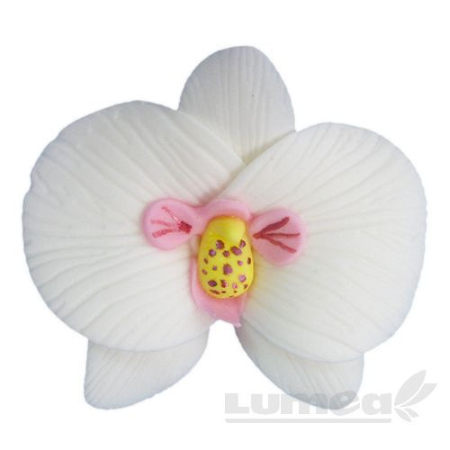 Orhidee moth alb din pasta de zahar, L5,5 cm x l 6 cm x h3 cm, 16 buc, 360g - Lumea