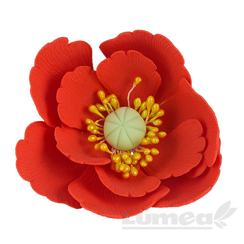 Floare de maces mare rosu coral inchis din pasta de zahar, L5 cm x l 5 cm x h4,5 cm, 50g - Lumea