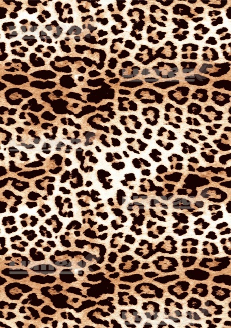 Imagine comestibila tort din Zahar A4 model Leopard - Lumea