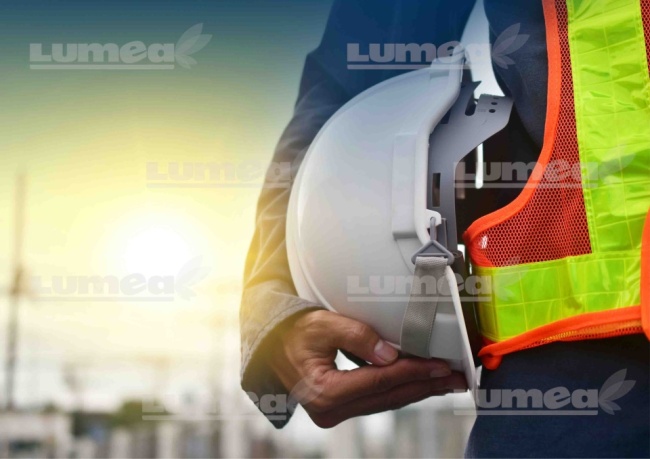 Imagine comestibila tort din Zahar, muncitor model 1 - Lumea