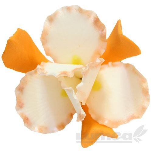 Iris portocaliu din pasta de zahar, L11 cm x l 6 cm, 40g - Lumea