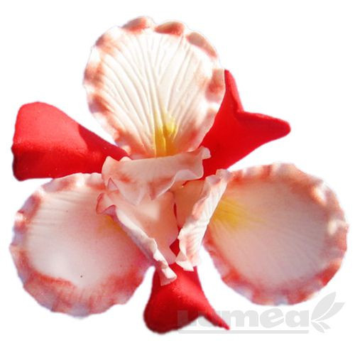 Iris rosu din pasta de zahar - Lumea