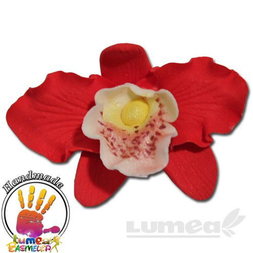 Orhidee cattleya rosu din pasta de zahar, L5 cm x l 6,5 cm x h2,5 cm, 16 buc, 370g - Lumea