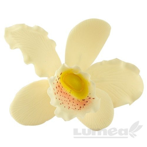Orhideea cattleya XL crem din pasta de zahar, L11 cm x l 8 cm x h5 cm, 30g - Lumea