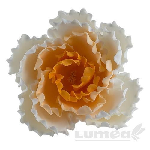 Bujor alb cu portocaliu mare din pasta de zahar, L12 cm x l 12 cm x h6 cm, 100g - Lumea