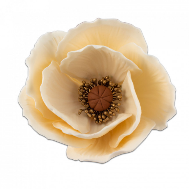 Floare de mac mediu ivory (crem) din pasta de zahar - Lumea