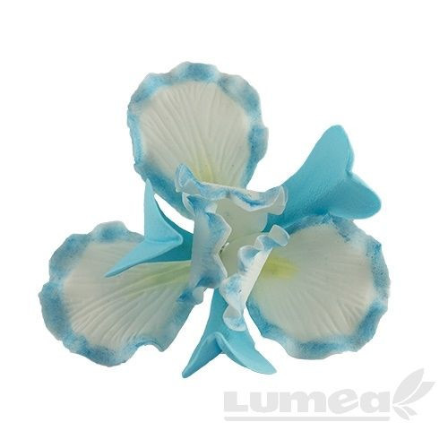 Iris albastru din pasta de zahar, L11 cm x l 6 cm, 40g - Lumea