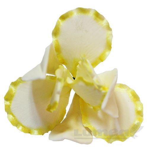 Iris galben din pasta de zahar, L11 cm x l 6 cm, 40g - Lumea