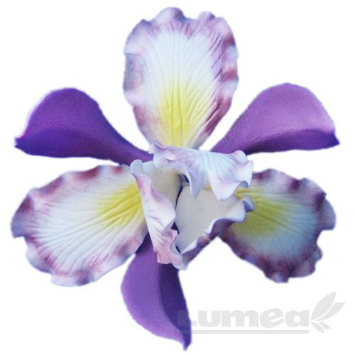 Iris mov cu alb din pasta de zahar - Lumea