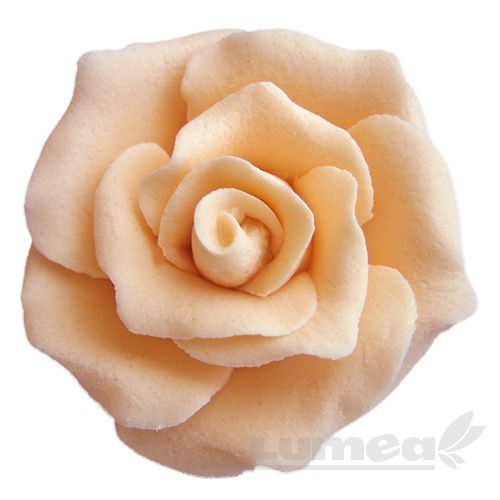 Trandafiri medii culoare piersica din pasta de zahar, L4,5 cm x l 4,5 cm x h3 cm, 15 buc, 400g - Lumea