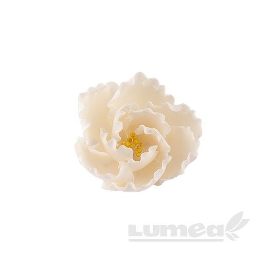 Bujor alb mic din pasta de zahar, L7 x l 7 cm h4,5 cm, 40g - Lumea