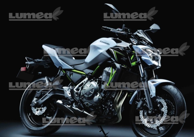 Imagine comestibila tort din Zahar, Motocicleta model 1 - Lumea