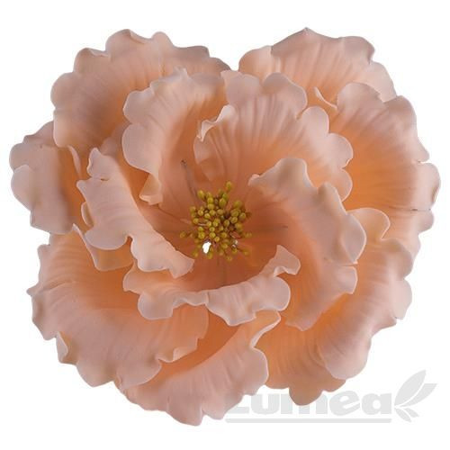 Trandafir inflorit culoare piersica din pasta de zahar, L11 cm x l 10 cm x h6 cm, 80g - Lumea