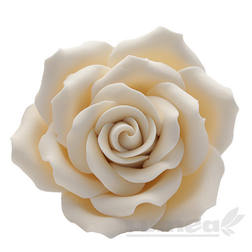 Trandafir urias crem din pasta de zahar, L10 cm x l 10 cm x h10 cm, 110g - Lumea
