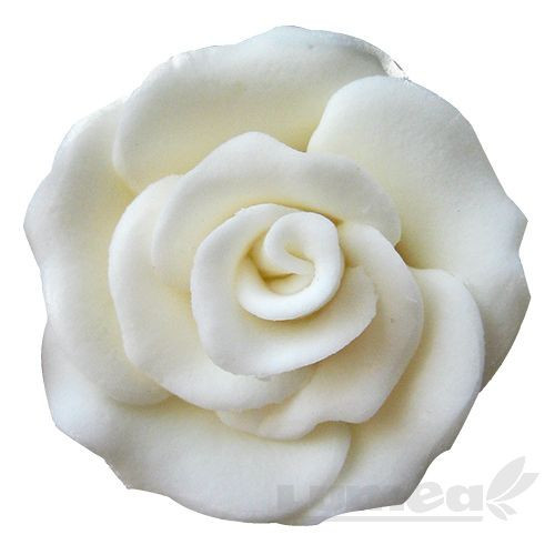 Trandafiri mari alb din pasta de zahar, L6 cm x l 6 cm x h3 cm, 25 buc, 730g - Lumea