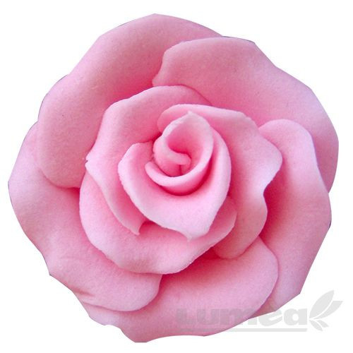 Trandafiri medii roz din pasta de zahar, L4,5 cm x l 4,5 cm x h3 cm, 15 buc, 400g - Lumea
