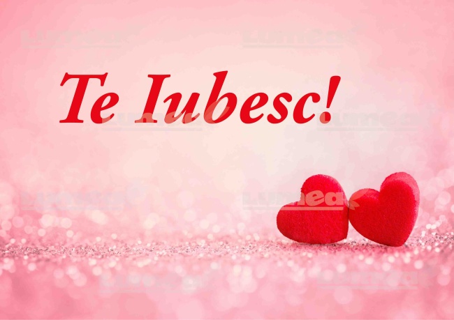 Vafa tort "Te Iubesc" model 1 - Lumea