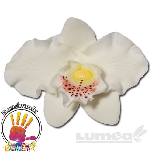 Orhidee cattleya alb din pasta de zahar, L5 cm x l 6,5 cm x h2,5 cm, 16 buc, 370g - Lumea