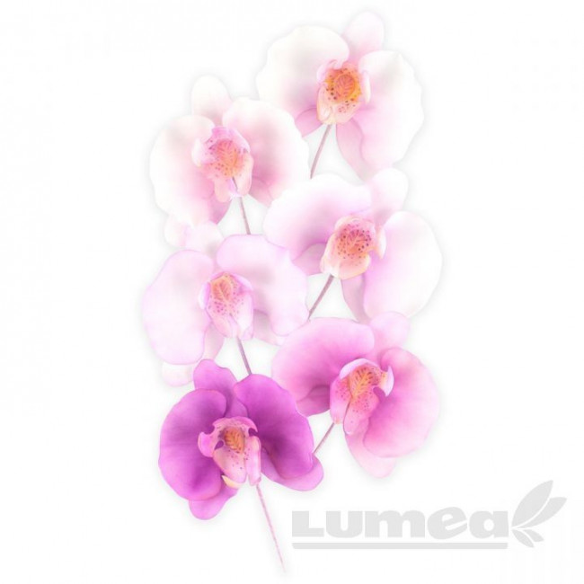 Set decupatoare orhidee, 3 bucati - FMM