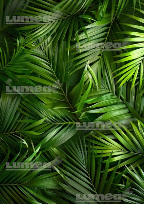 Vafa tort A4 model Frunze Tropicale 1 - Lumea