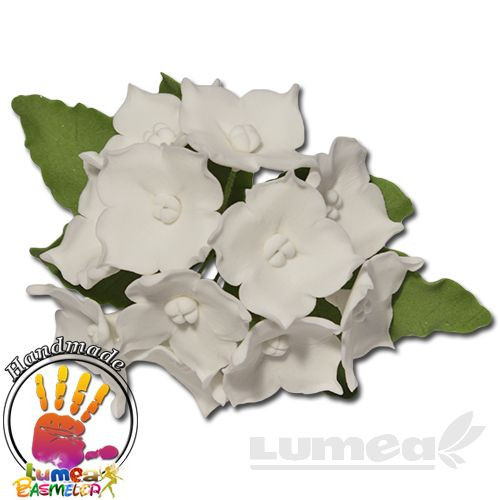 Hortensia alb din pasta de zahar, L10 cm x l 10 cm x h6,5 cm, 60g - Lumea