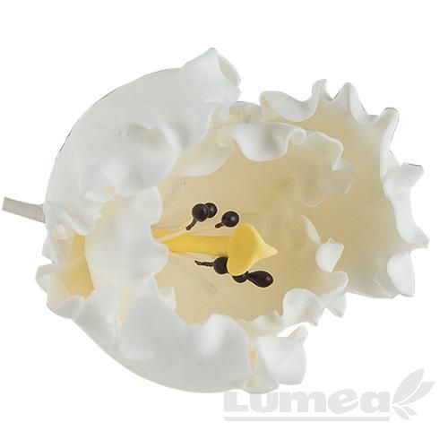 Lalea papagal alb din pasta de zahar, L5 cm x l 5 cm x h6 cm, 30g - Lumea