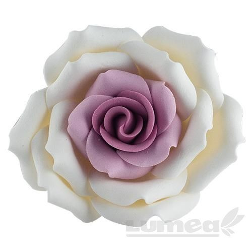 Trandafir urias alb cu mov din pasta de zahar, L10 cm x l 10 cm x h10 cm, 100g - Lumea