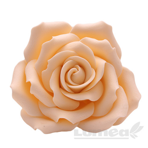 Trandafir urias piersica din pasta de zahar, L10 cm x l 10 cm x h10 cm, 110g - Lumea