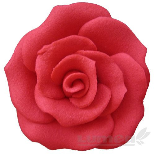 Trandafiri mari rosu din pasta de zahar, L6 cm x l 6 cm x h3 cm, 25 buc, 730g - Lumea