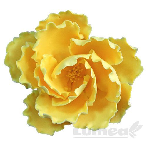 Bujor galben mare din pasta de zahar, L12 cm x l 12 cm x h6 cm, 100g - Lumea