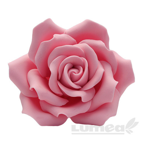 Trandafir urias roz din pasta de zahar - Lumea