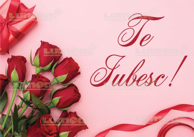 Vafa tort "Te Iubesc" model 3 - Lumea