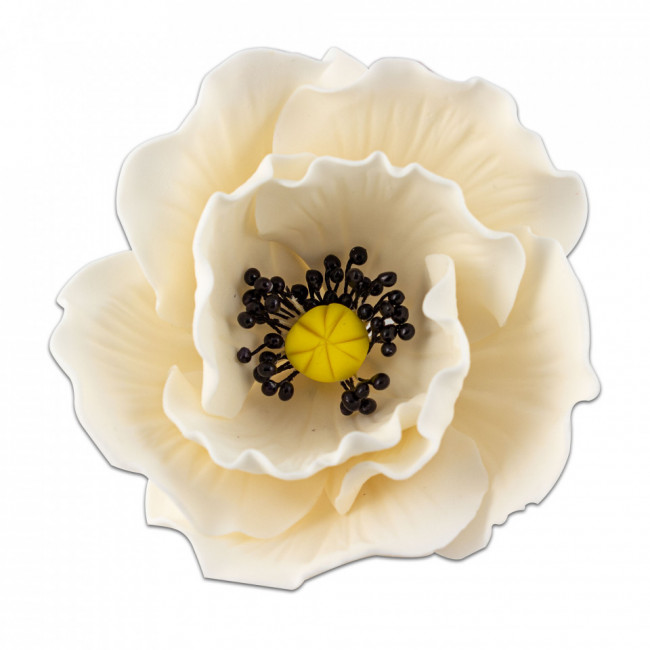 Floare de mac alb mare cu stamine negre din pasta de zahar - Lumea