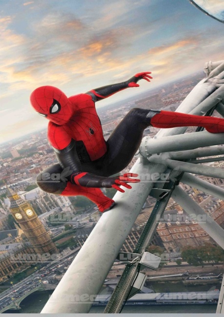 Imagine comestibila tort din Zahar, Spiderman model 4 - Lumea