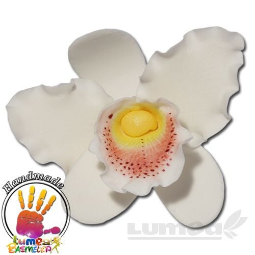 Orhideea cattleya XL alb din pasta de zahar - Lumea