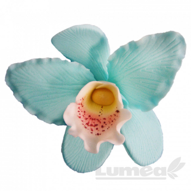 Orhideea cattleya XL bleu din pasta de zahar - Lumea