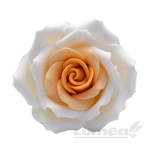 Trandafir urias alb cu portocaliu din pasta de zahar, L10 cm x l 10 cm x h10 cm, 110g - Lumea