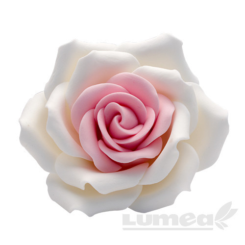 Trandafir urias alb cu roz din pasta de zahar, L10 cm x l 10 cm x h10 cm, 110g - Lumea