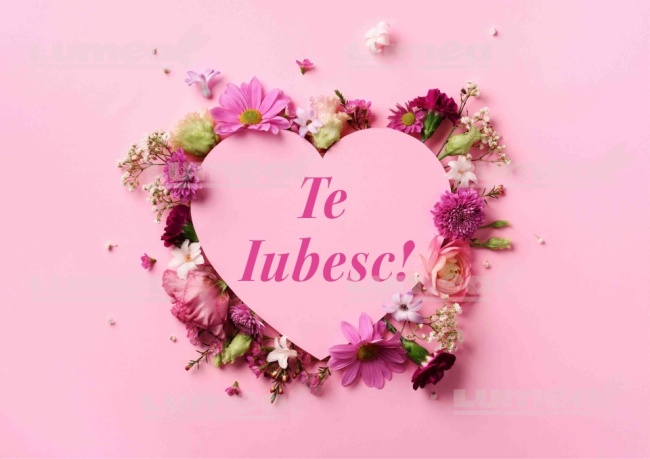 Imagine comestibila tort din Zahar, "Te Iubesc" model 2 - Lumea