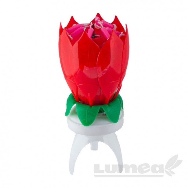 Lumanare floare magica, rosu - Lumea