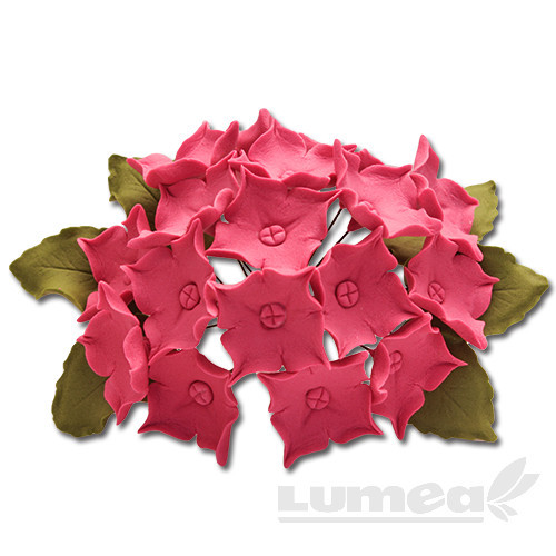Hortensia visiniu din pasta de zahar, L10 cm x l 10 cm x h6,5 cm, 60g - Lumea