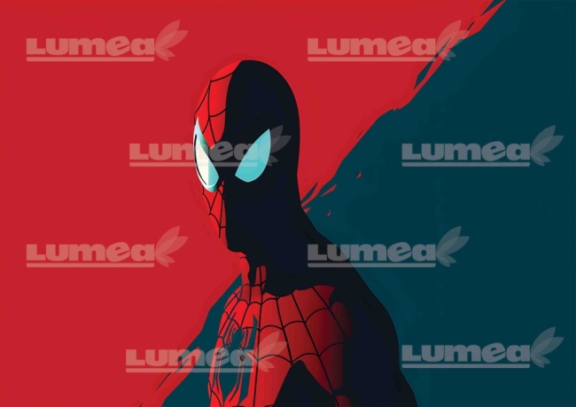 Imagine comestibila tort din Zahar, Spiderman model 2 - Lumea
