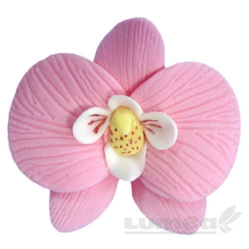 Orhidee moth roz din pasta de zahar, L5,5 cm x l 6 cm x h3 cm,16 buc, 360g - Lumea