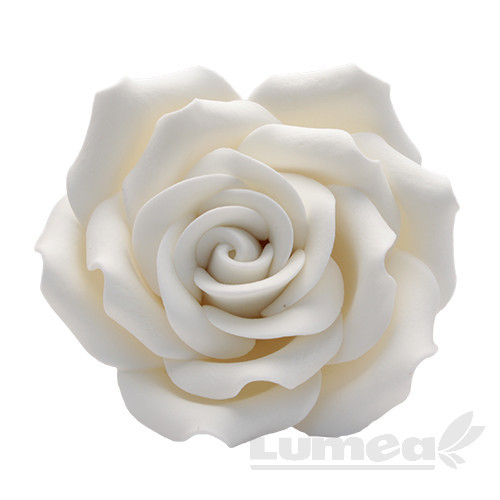 Trandafir urias alb din pasta de zahar - Lumea