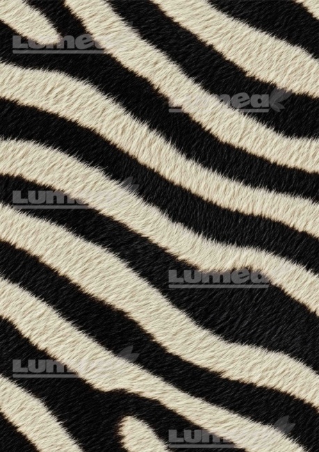Vafa tort A4 model Zebra - Lumea