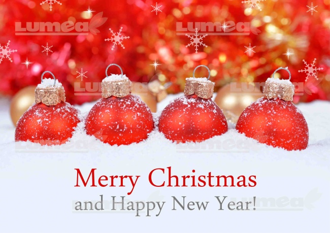Vafa tort "Merry Christmas & Happy New Year" model 2 - Lumea