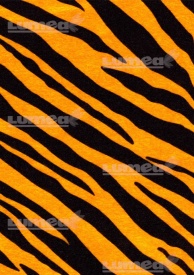 Ядивно изображение на A4 захарна торта A4 модел Tiger - The World